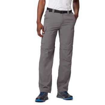 Columbia Muške Hlače - Silver Ridge Convertible Sive | MGUH-86735